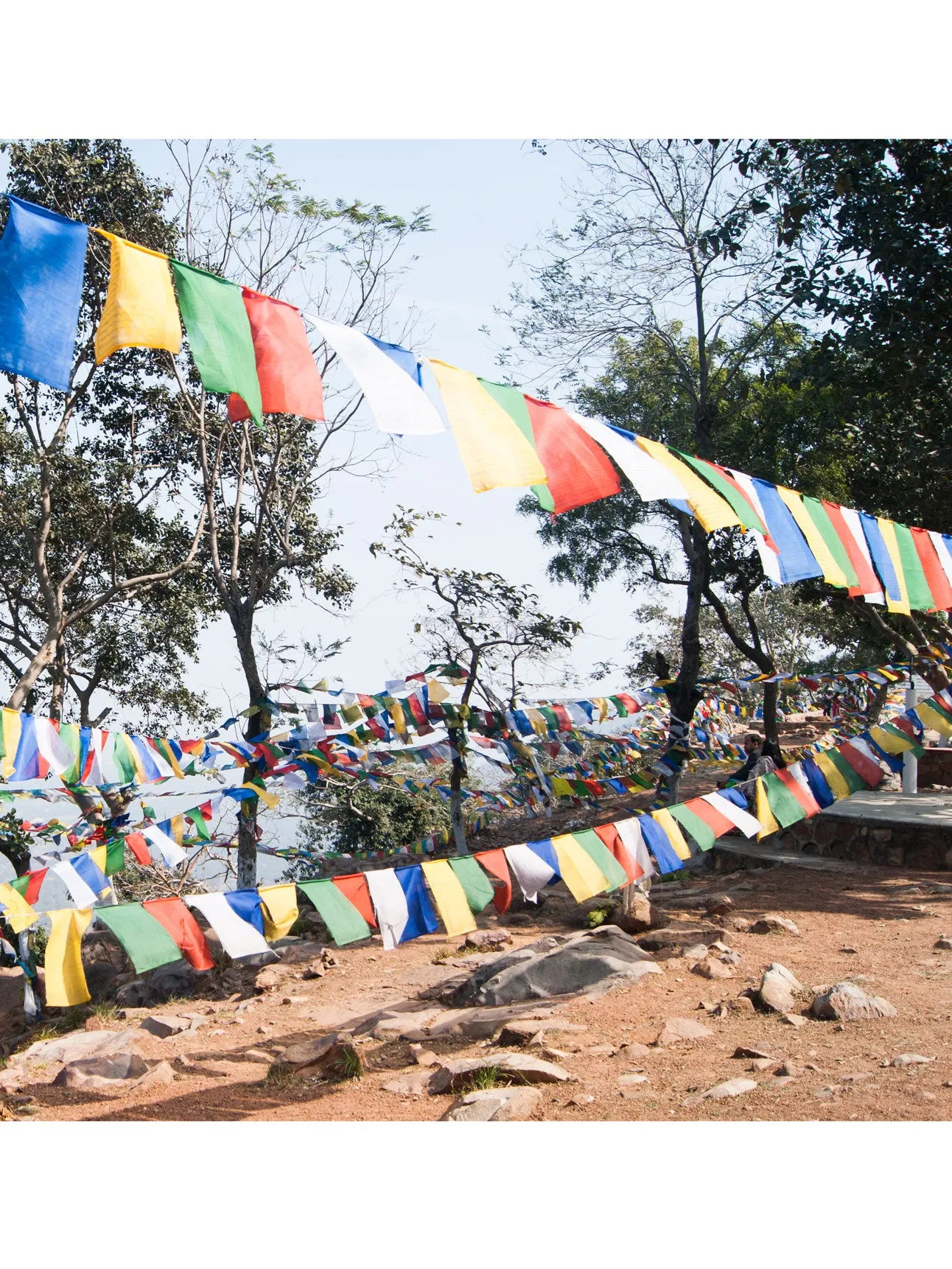 8 Auspicious Symbols Prayer Flags